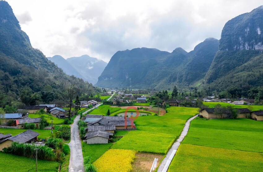 Phố Cáo