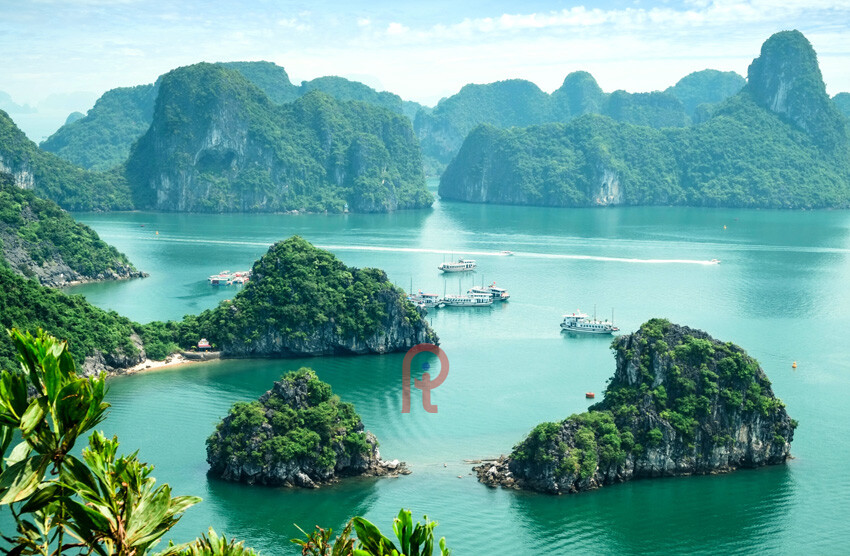 Vịnh Hạ long